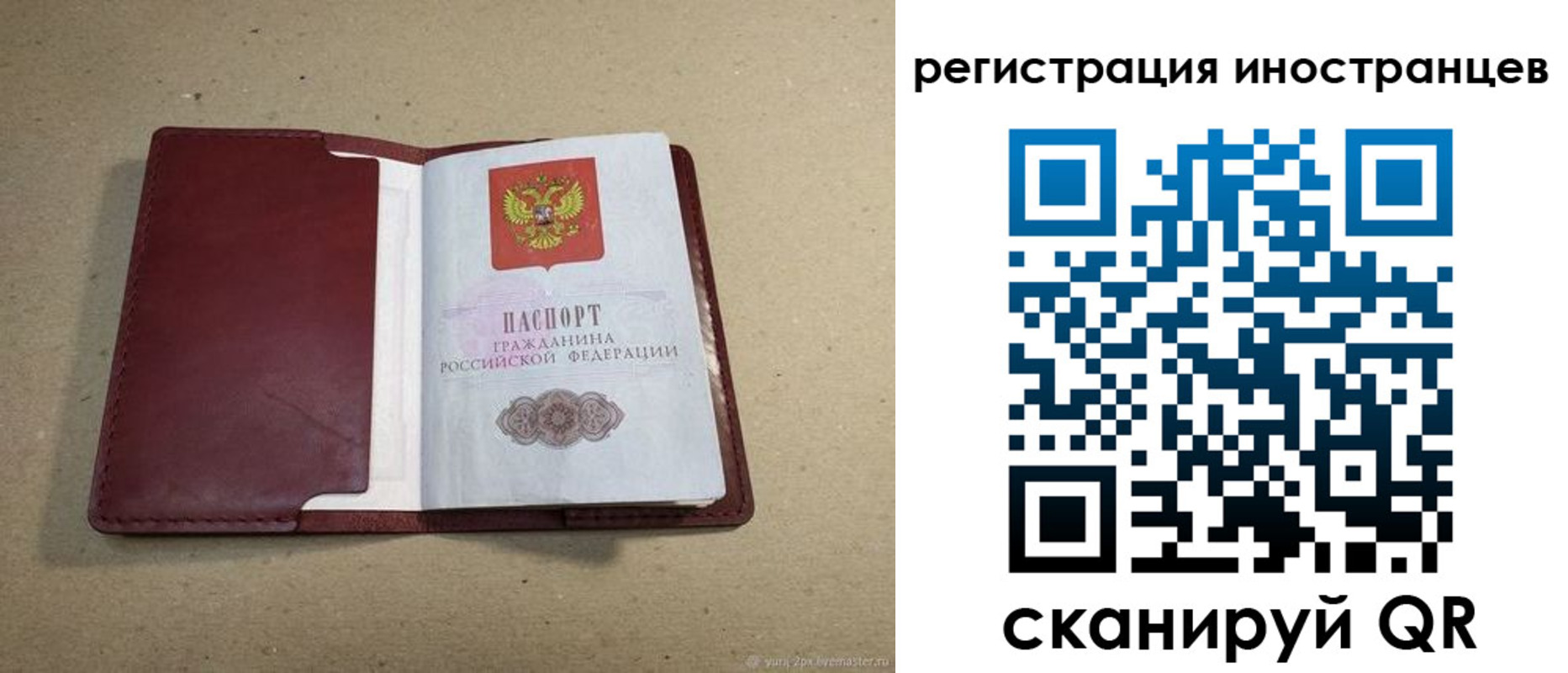форма 3 в Светлогорске