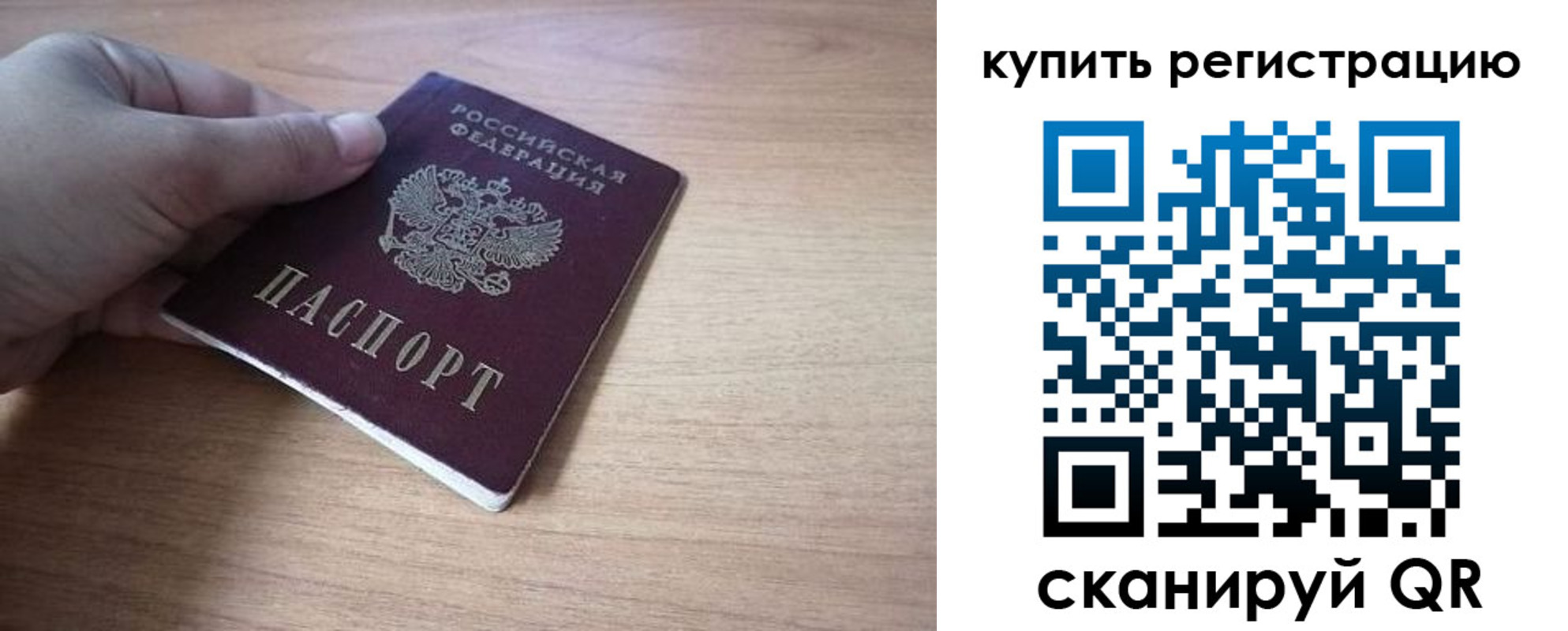 прописка в квартире в Светлогорске