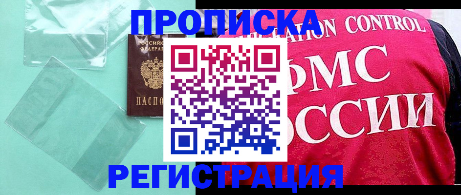 прописка 2025 в Светлогорске
